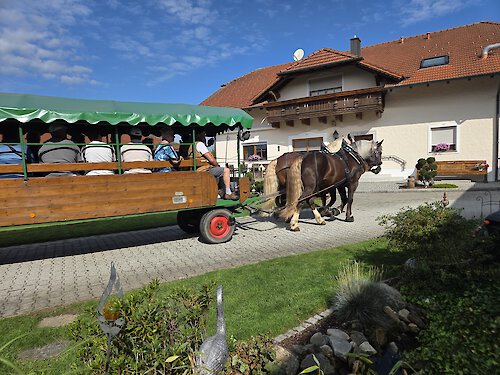 Kutsche