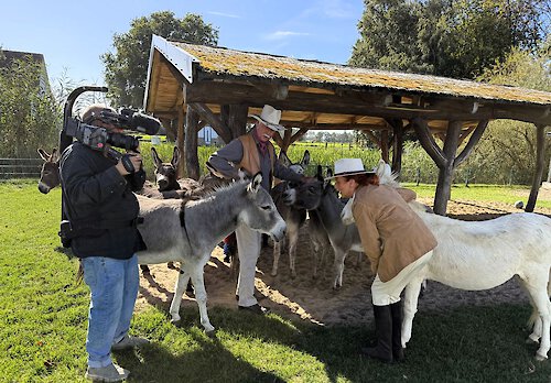Der NDR auf der Ballermann Ranch